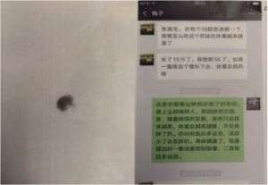 中国当代名医--张玉康