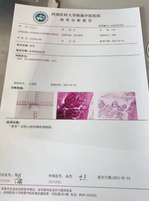 学习两会精神 不忘初心 牢记使命  卓越成果写传奇 特别报道  《受损及变异细胞工程学》创始人——孙燃