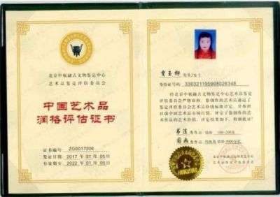 环球艺术家企业家——贾玉柳女士