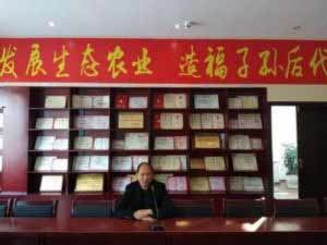 品牌强国，筑梦而来  打造新型磷肥第一品牌