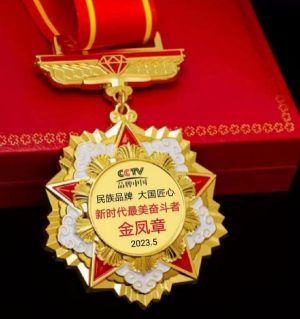 中国优秀企业家——金凤章