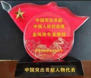 中国优秀企业家——金凤章